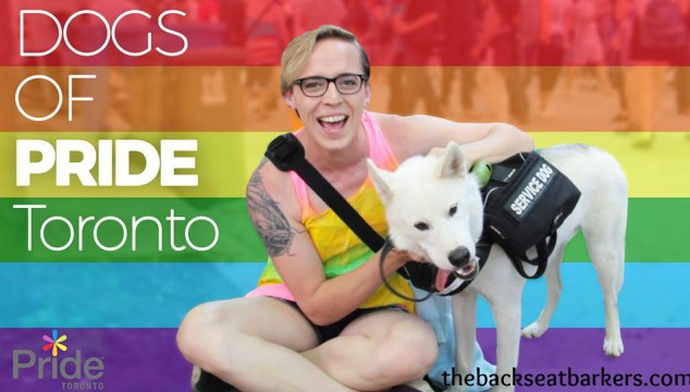 See All the Colors of the Backseat Barkers at the Pride Parade