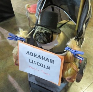 Abraham Lincoln Pug