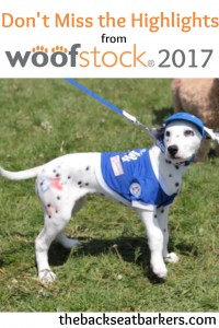 Backseat Barkers coverage of Woofstock 2017