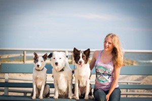 Sara and the Super Collies at the beach in New Jersey