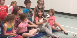 Loki the Super Collie Greeting some adorable kids