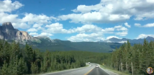 Super collies amazing canadian road trip